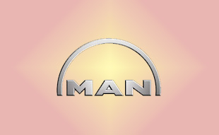 ✓ MAN SA17308 Фильтр воздушный 